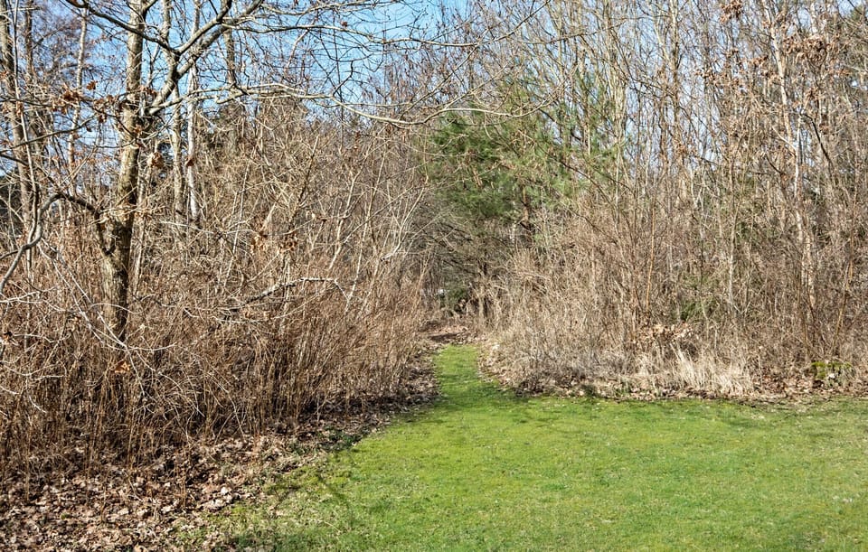 outside