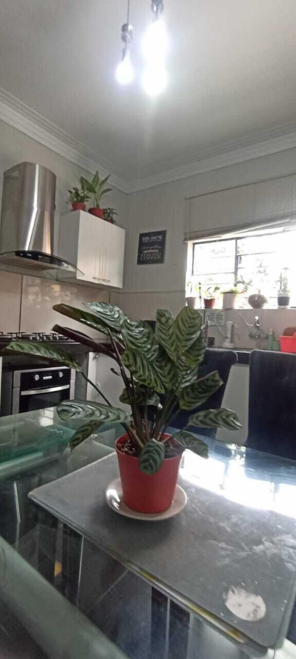 Shared fridge, shared microwave, blender, cookware/dishes/utensils