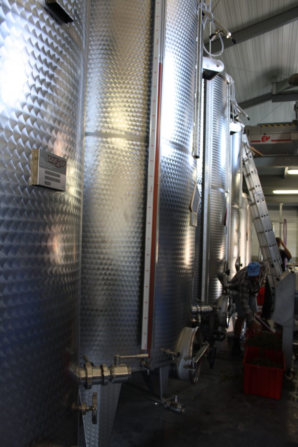 Winery
