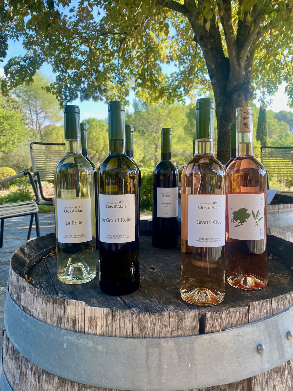 Vineyard