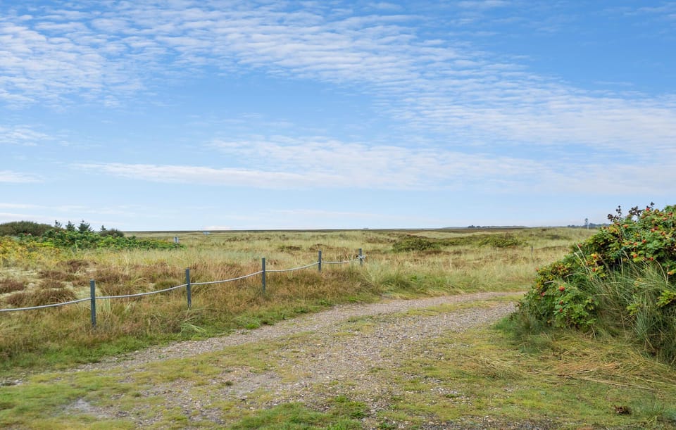 area