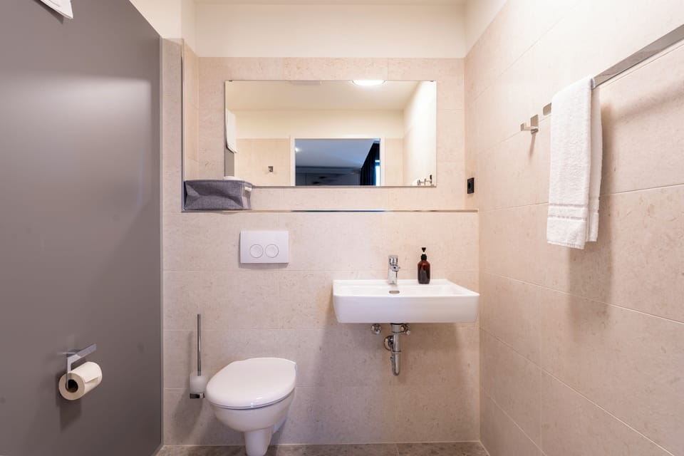 Large Studio | Bathroom | Shower, hair dryer, towels