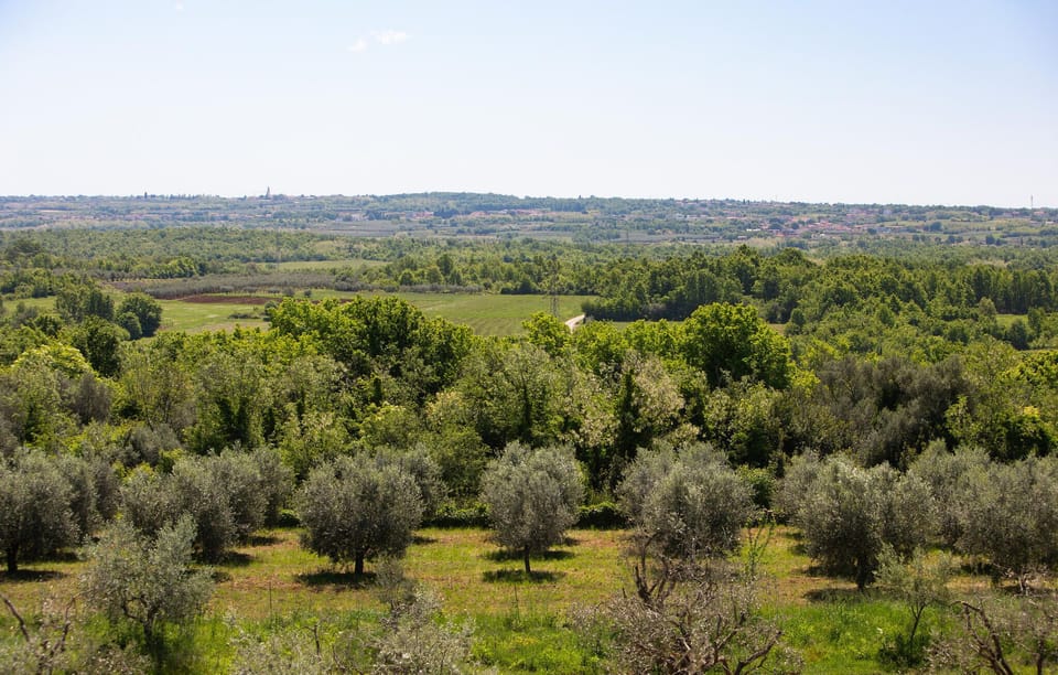 view-from-room