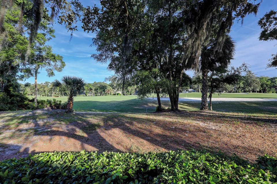 Golf views