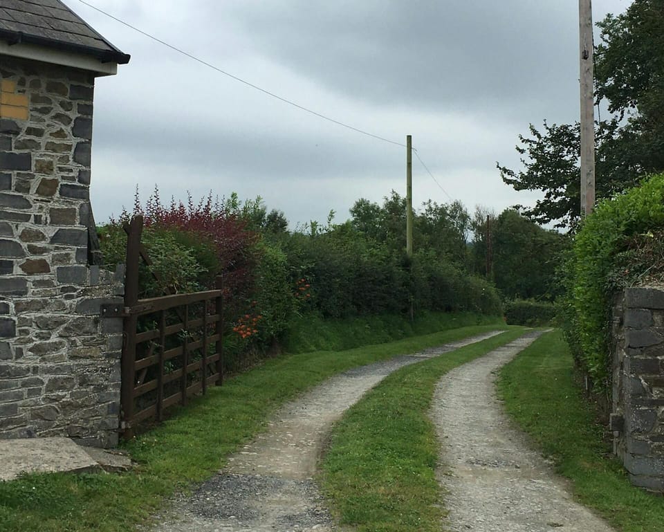 Drive and gate at Brynonnen