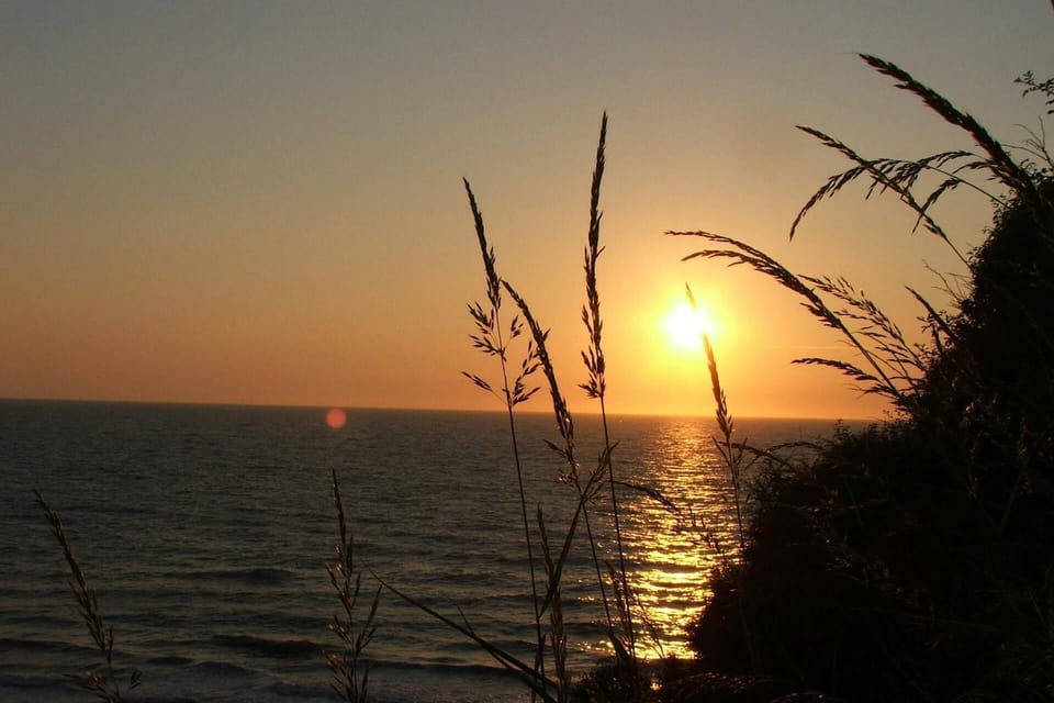 Sunset over Cardigan Bay on the sea through grasses