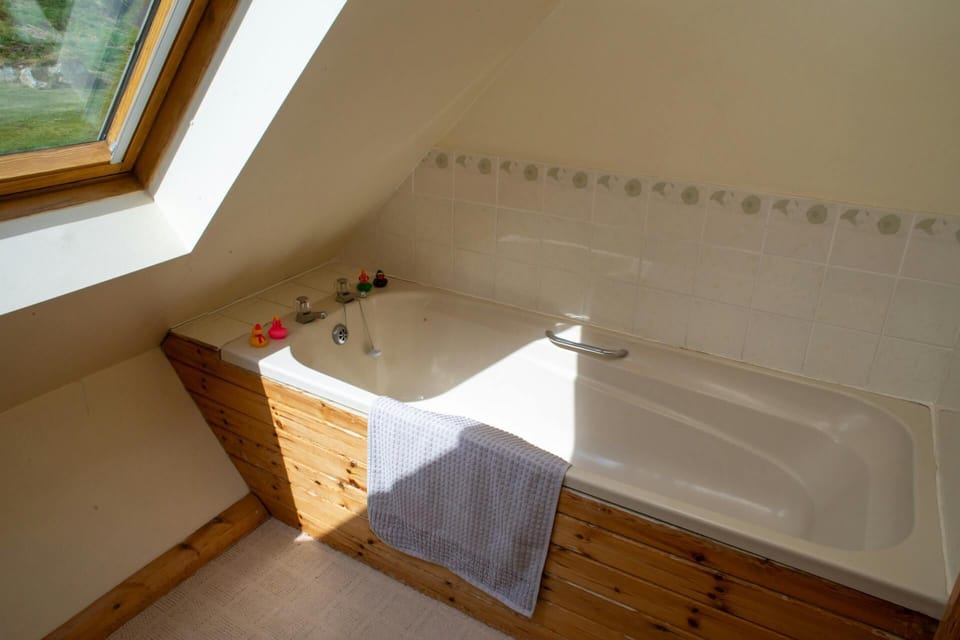 Bathroom showing bath, velux window