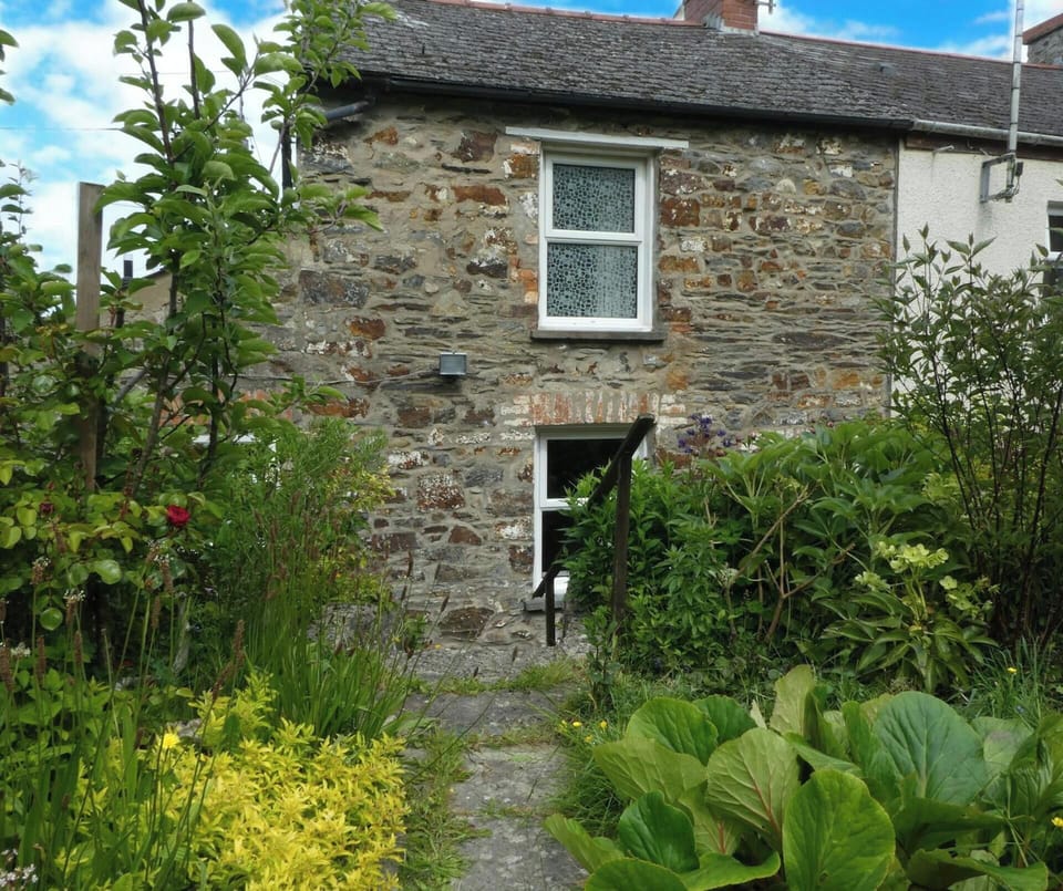Back garden at Craiglea with flowers and shrubs