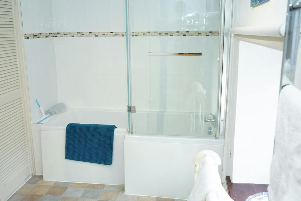Bath with shower over and shower screen