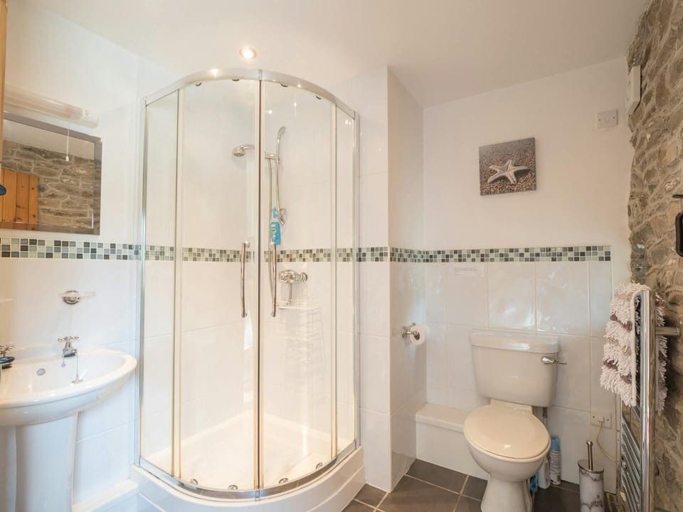 Shower room at Eirlys with corner cubicle, toilet, washbasin, radiator and mirror