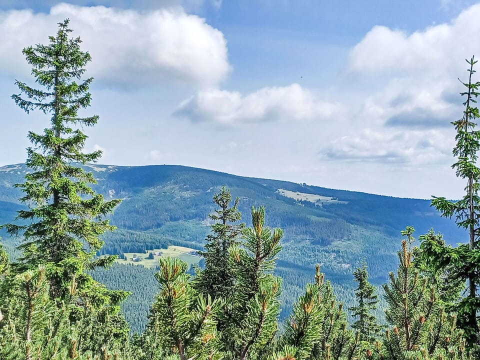 Cloud, Sky, Plant, Mountain, Plant Community, Ecoregion, Natural Landscape, Highland, Larch, Tree