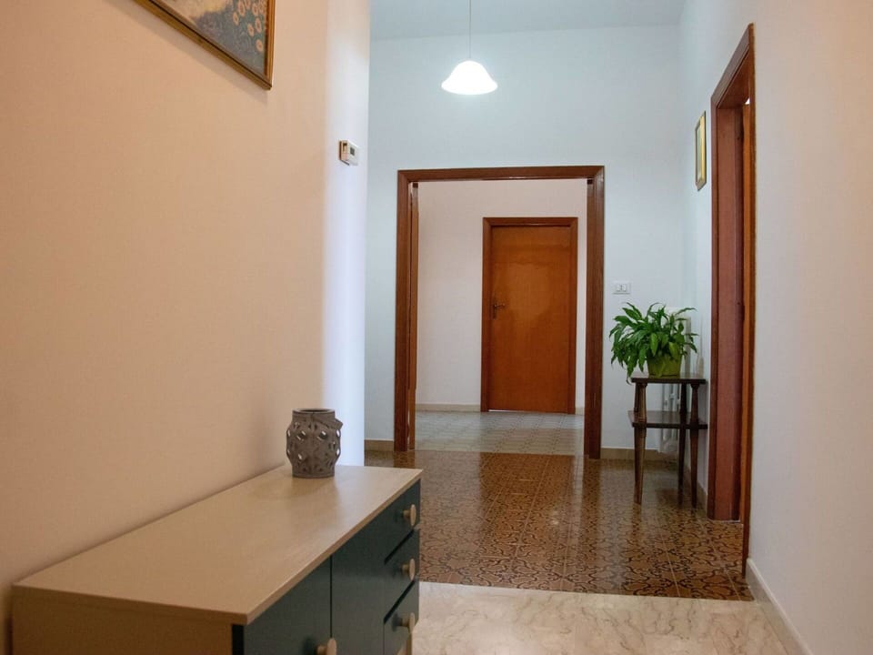 Property, Plant, Wood, Houseplant, Drawer, Floor, Flooring, Building, Door