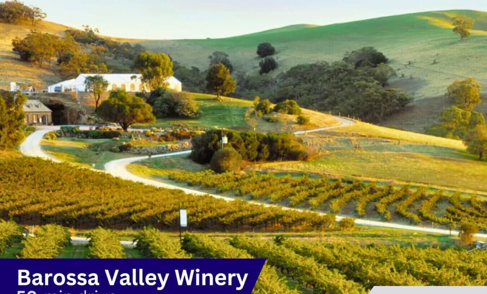 Nearby Attraction - Barossa Valley