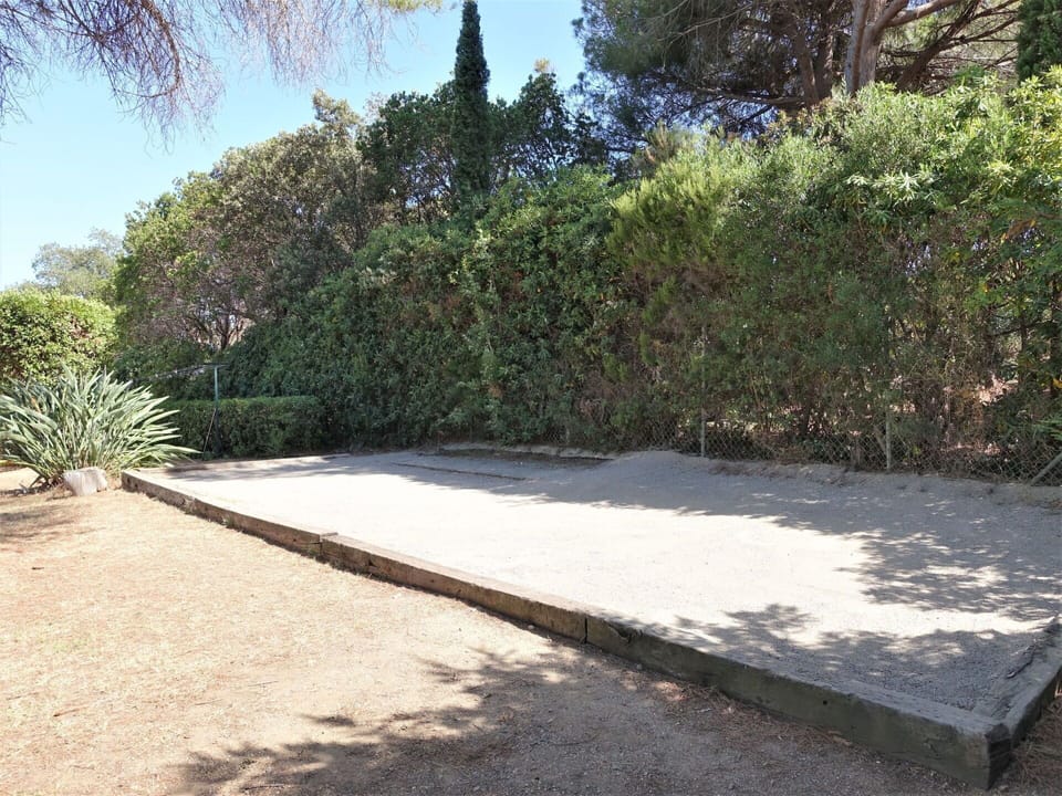 Plant, Sky, Road Surface, Asphalt, Land Lot, Shade, Grass, Tree, Landscape, Groundcover