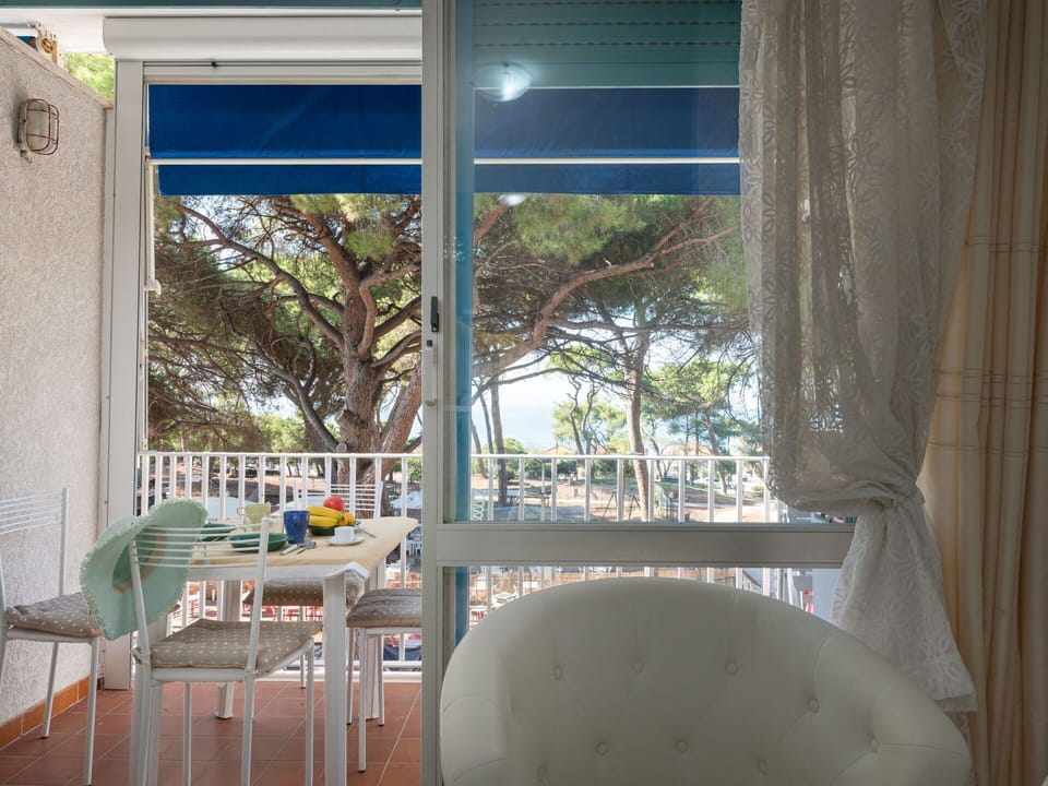 Furniture, Shade, Chair, Window, Wood, Building, Tree, Table, Tints And Shades, Curtain