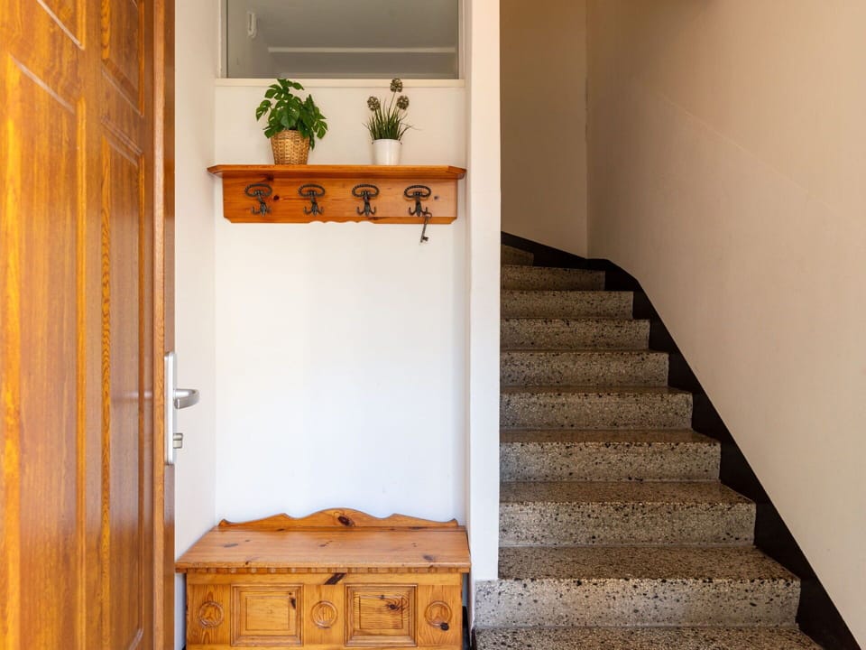 Plant, Building, Flowerpot, Stairs, Wood, Houseplant, Door, Interior Design, House