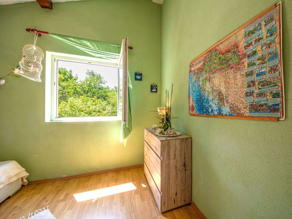 Plant, Window, Wood, Textile, Building, Interior Design, Houseplant, Paint, Flooring, Wall