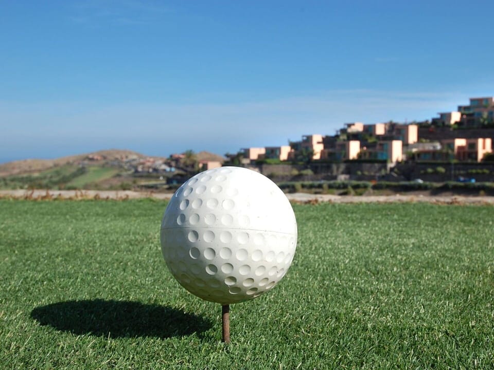 Sky, Sports Equipment, Plant, Grass, Tree, Biome