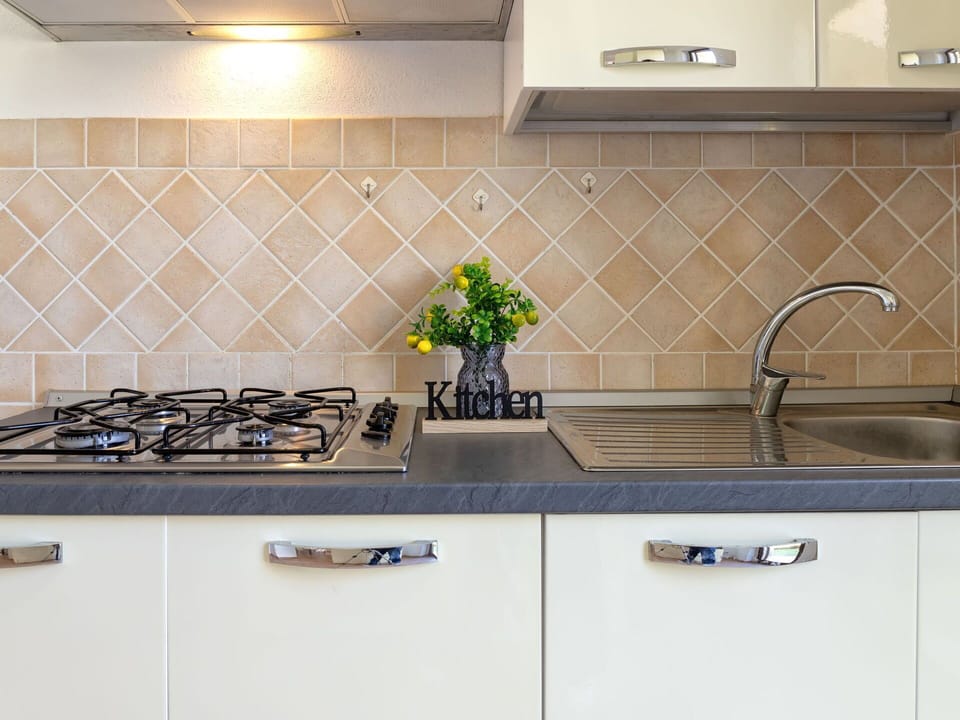 Kitchen, Countertop, Kitchen Appliance, Kitchen Stove, Major Appliance, Stove, Gas Stove, Cooktop, Interior Design, Home Appliance