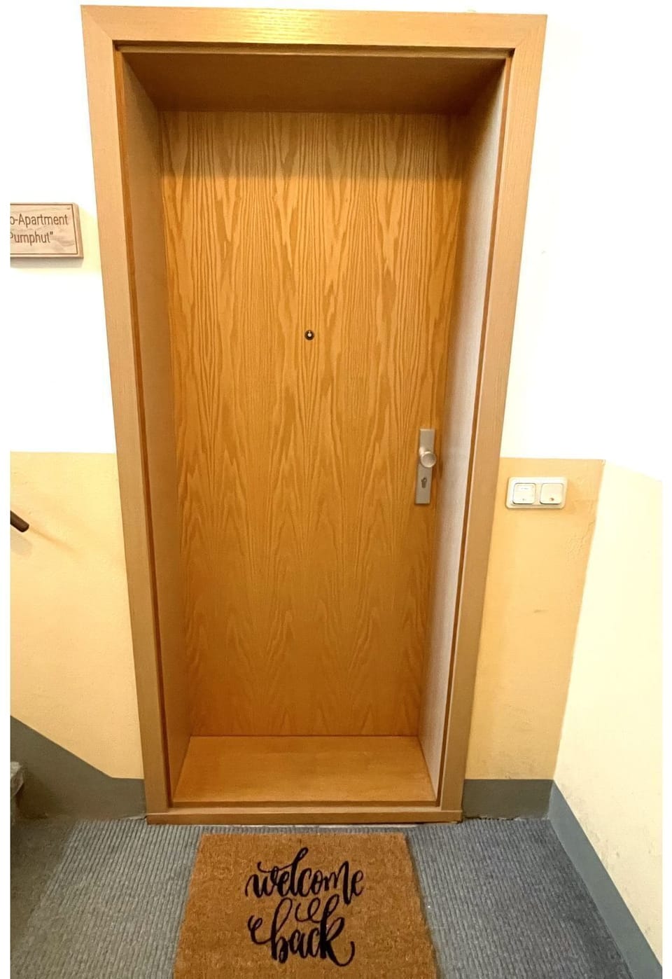Door, Wood, Wood Stain, Hardwood, Plywood, Home Door, Varnish, Flooring