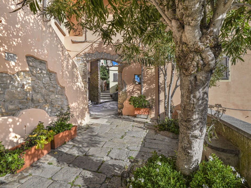 Plant, Building, Botany, Road Surface, Vegetation, Architecture, Tree, Flowerpot, Neighbourhood, Flooring
