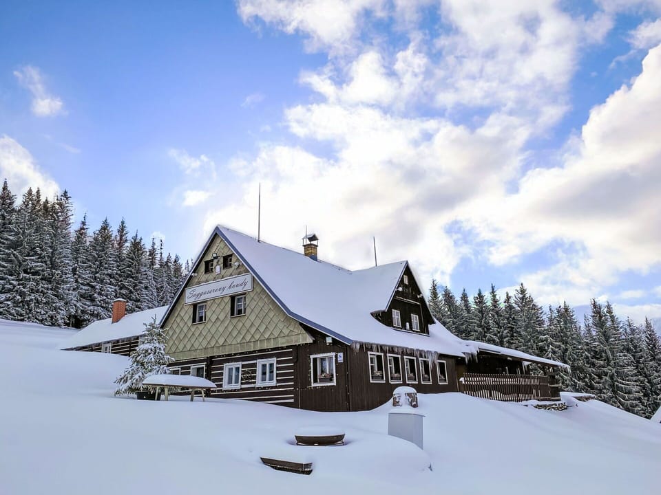 Cottage, Winter, Larch, Snow, Freezing, Hut, Glacial Landform, Evergreen