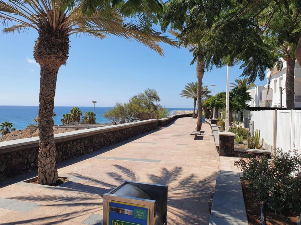 Sea, Walkway, Coast, Ocean, Boardwalk, Shade, Sidewalk, Tropics, Beach