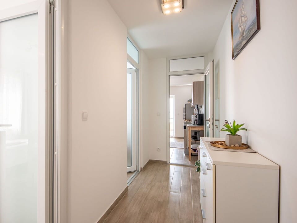 Houseplant, Cabinetry, Plant, Wood, Building, Floor, Door, Wall, Flooring