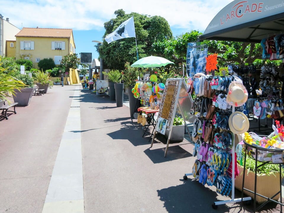 Plant, Cloud, Sky, Tree, Leisure, City, Umbrella