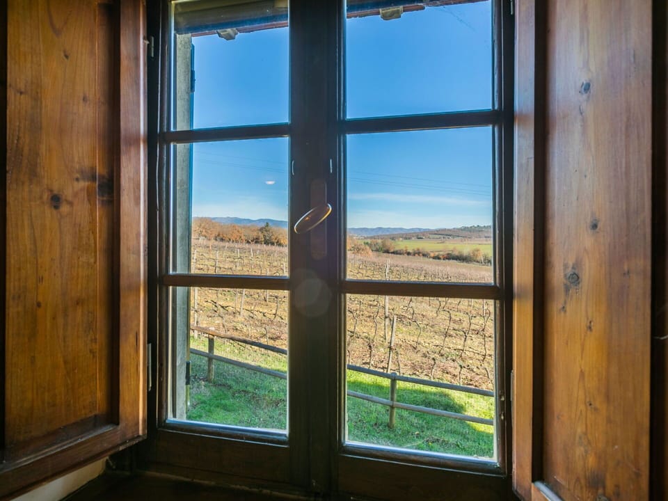 Plant, Sky, Property, Window, Shade, Wood, Interior Design, Tree, Landscape