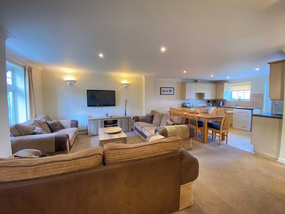 Large open plan living space