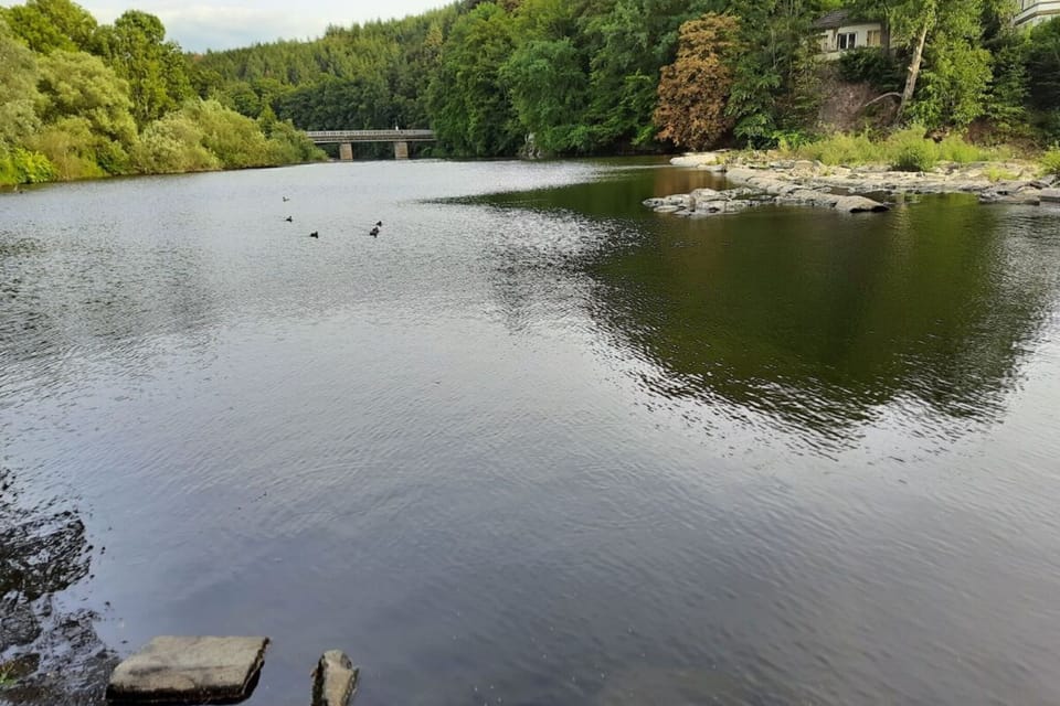 Surroundings [summer] (1-5 km)