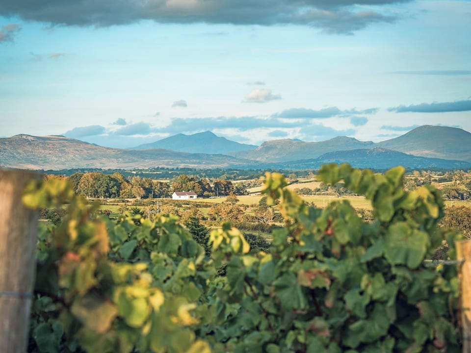 Surrounding area | Bwthyn Hudol Bach - Llwynhudol Vineyard Cottages, Pwllheli