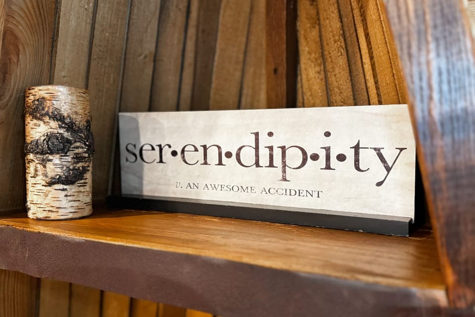 Experience the allure of Serendipity, a camp-and-camping-themed cabin secluded in the pines and offering exceptional privacy.