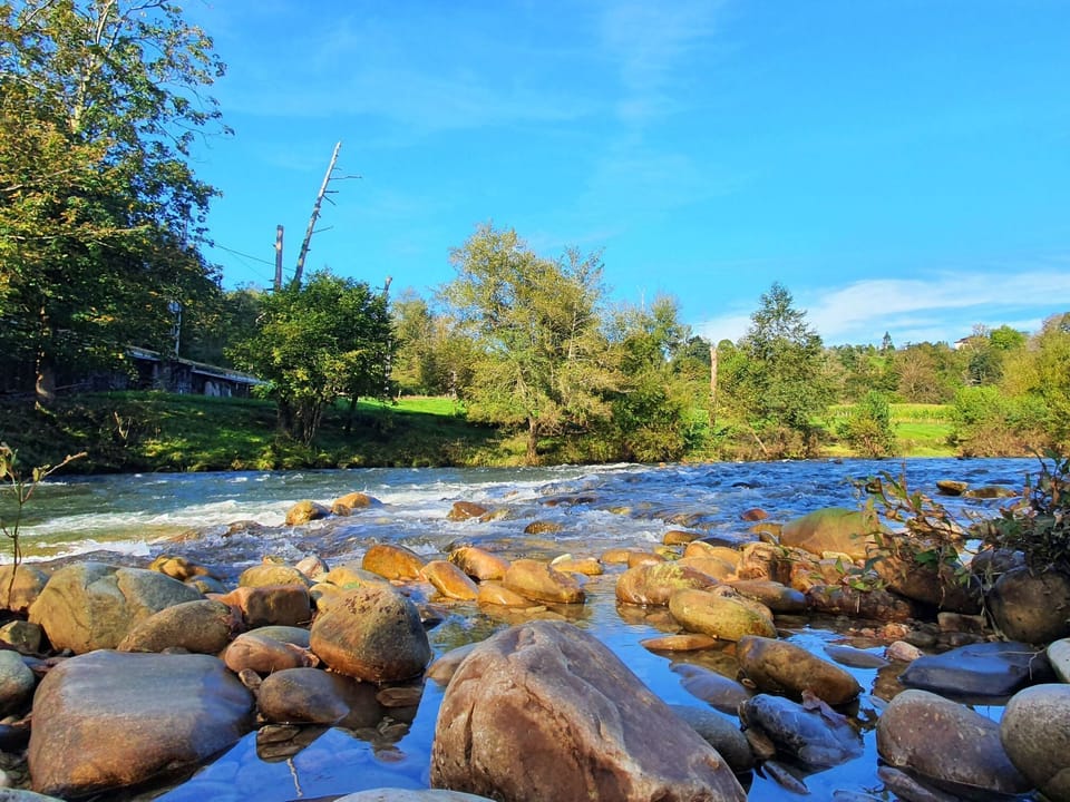 River view