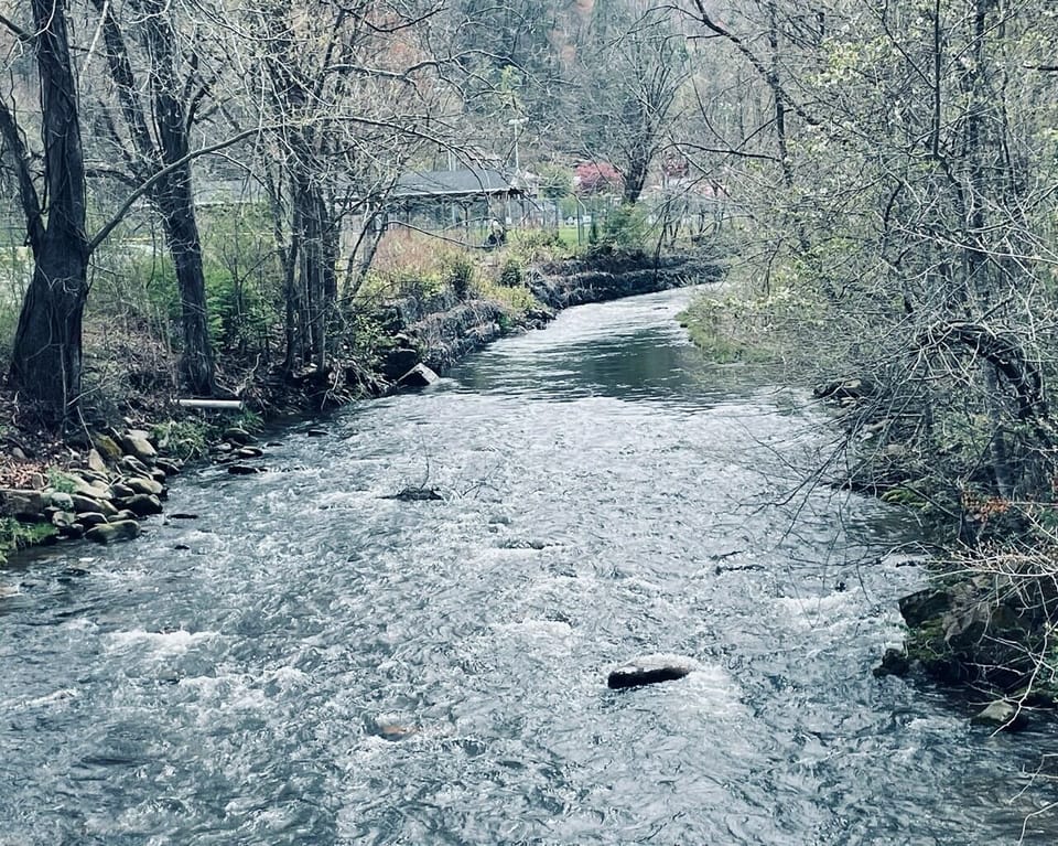 Beaver Dam Creek is yards from the house and makes for relaxing music 
