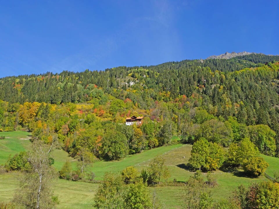 Sky, Plant, Mountain, Natural Landscape, Highland, Terrain, Tree, Mountainous Landforms, Mountain Range, Plain