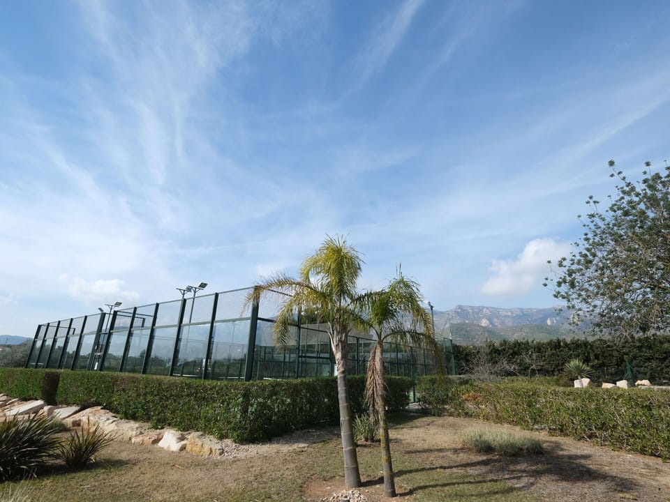 Cloud, Sky, Plant, Natural Landscape, Land Lot, Arecales, Tree, Plain, Grass, Terrestrial Plant