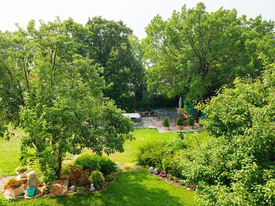 Plant, Natural Landscape, Tree, Sky, Land Lot, Leisure, Grass, Landscape, Groundcover