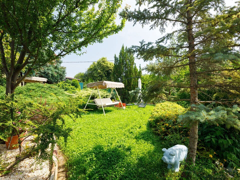 Plant, Plant Community, Tree, Natural Landscape, Land Lot, Grass, Shrub, Terrestrial Plant, Groundcover, Sky