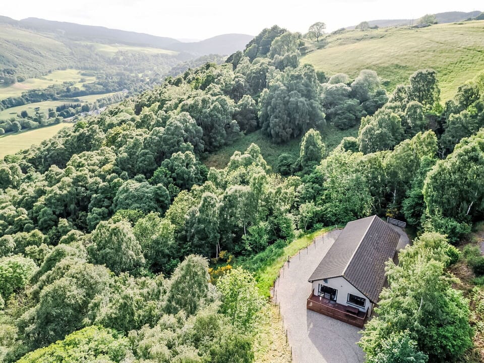 Property, Plant Community, Plant, Natural Landscape, Land Lot, Tree, Sky, Grass, Slope, Shrub
