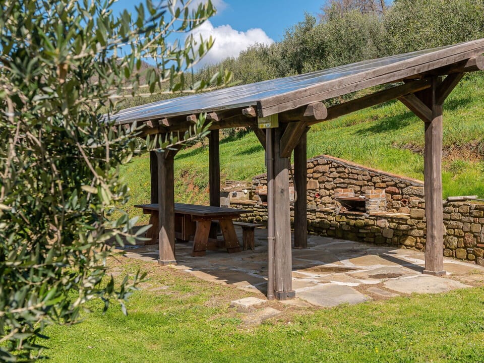 Plant, Shade, Outdoor Bench, Land Lot, Table, Natural Landscape, Grass, Wood, Tree, Landscape