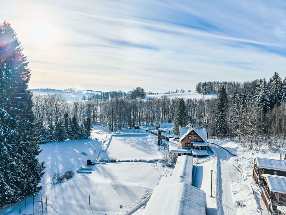 Snow, Winter, Tree, Freezing, Cottage, Slope, Hill Station, Larch, Twig, Frost