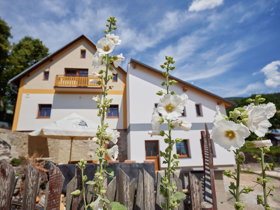 Sky, Cloud, Flower, Plant, Building, Window, Land Lot, House, Tree, Rural Area