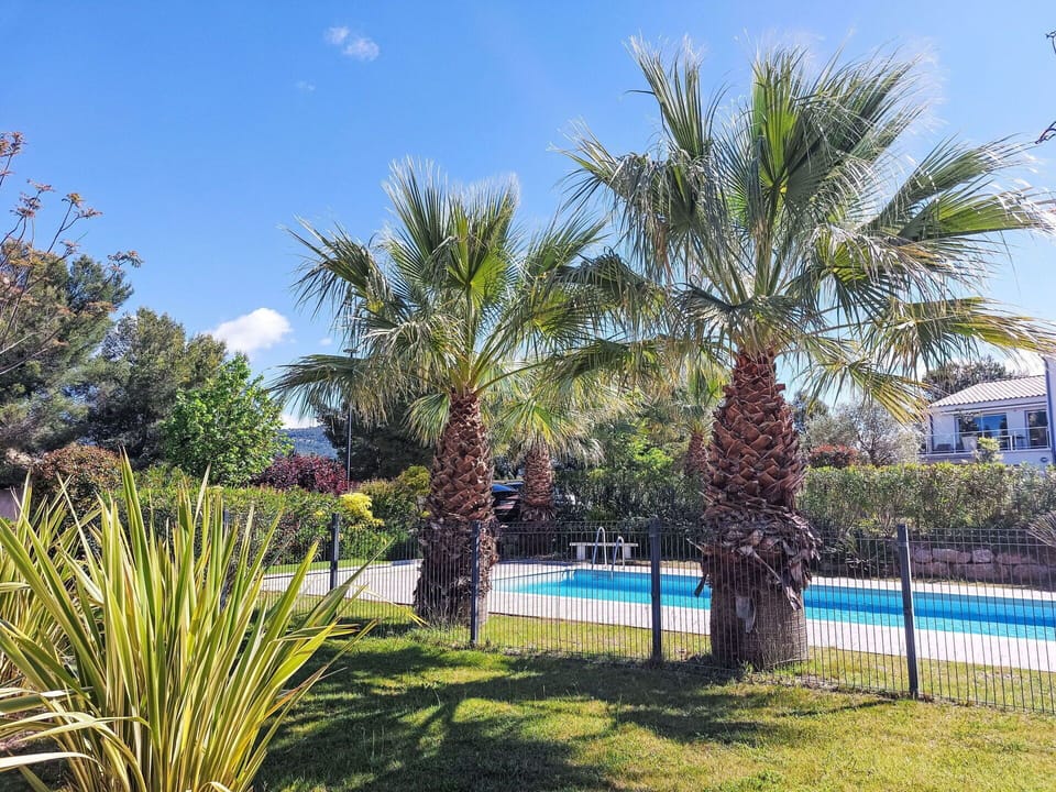 Woody Plant, Garden, Landscaping, Shade, Resort, Yard