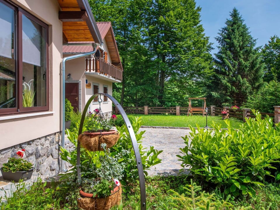 Plant, Flower, Window, Building, Flowerpot, Land Lot, Tree, Houseplant, Grass, Residential Area