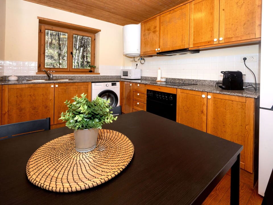 Cabinetry, Furniture, Property, Countertop, Table, Wood, Interior Design, Kitchen, Plant, Wood Stain