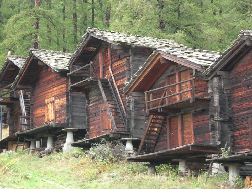 Plant, Nature, Building, Wood, Tree, Window, Natural Landscape, Biome, House, Landscape
