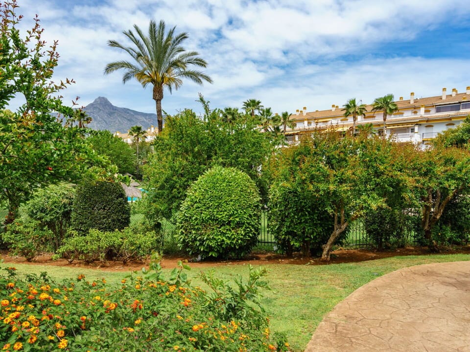 Leaf, Vegetation, Shrub, Garden, Woody Plant, Landscaping, Botanical Garden, Plantation, Hedge