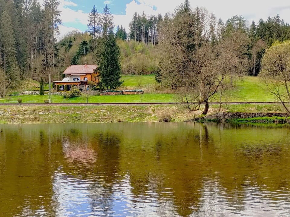 Water Resources, Water, Body Of Water, Tree, Watercourse, Bank, Natural Landscape, Waterway, Reflection